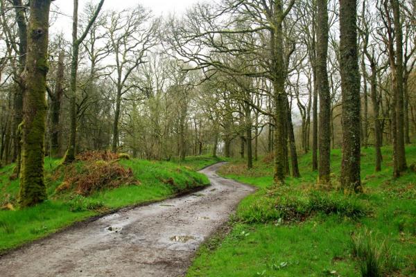 West Highland Way