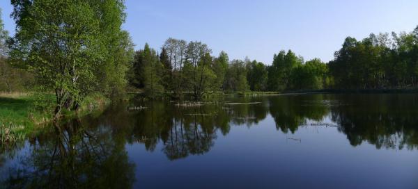Pavlovské mokřady a Skalky