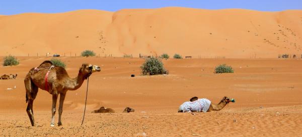Výlet na Wahiba Sands