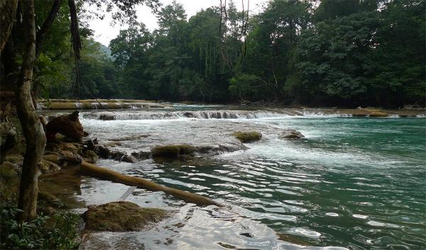 The river surroundings