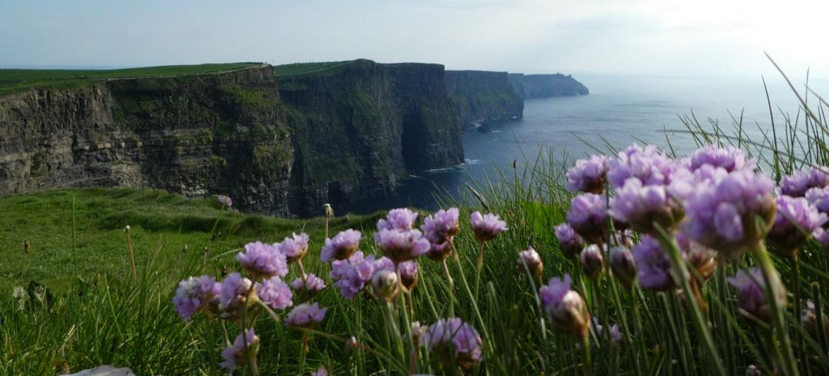 Moherské útesy