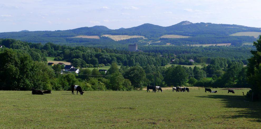 Výhled na Provodín