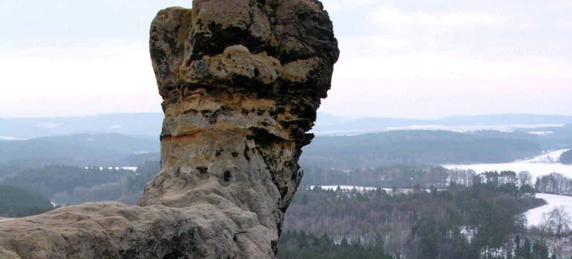 Čapí palice