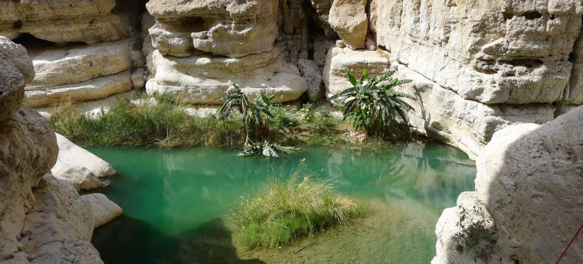 Procházka k jezírkům ve Wadi Ash Shab