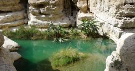 Procházka k jezírkům ve Wadi Ash Shab