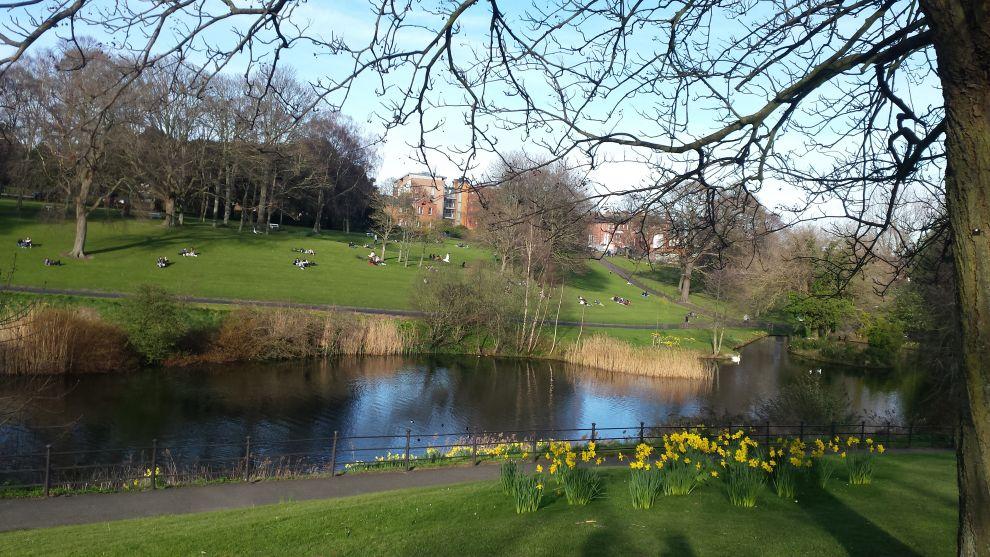 Phoenix park