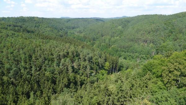 Krajina Kokořínska z hradní věže