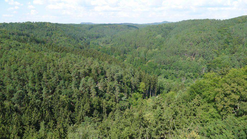 Krajina Kokořínska z hradní věže