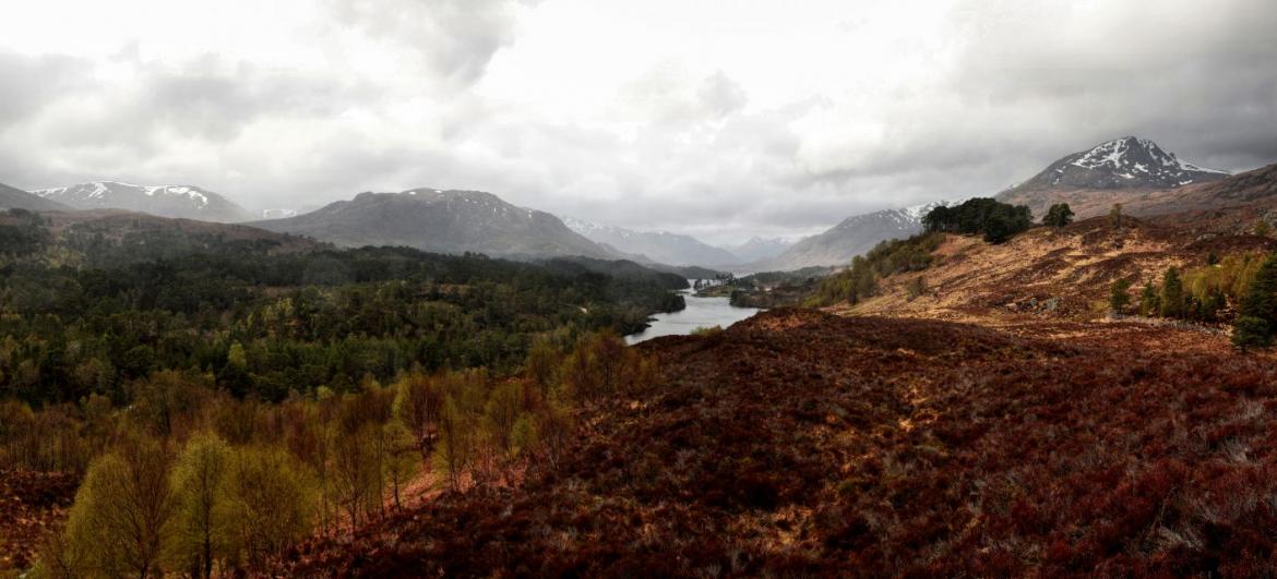 Glen Affric