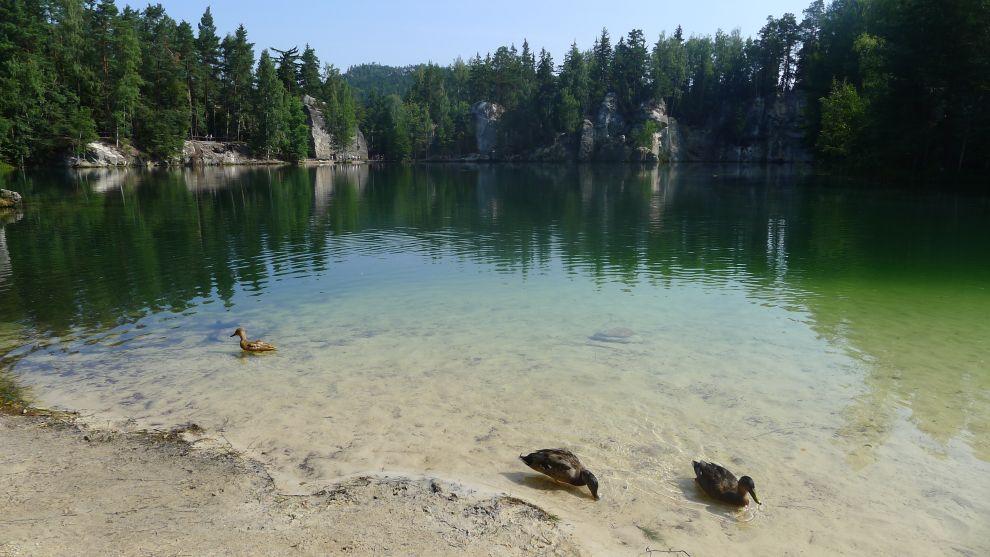 Kačeny