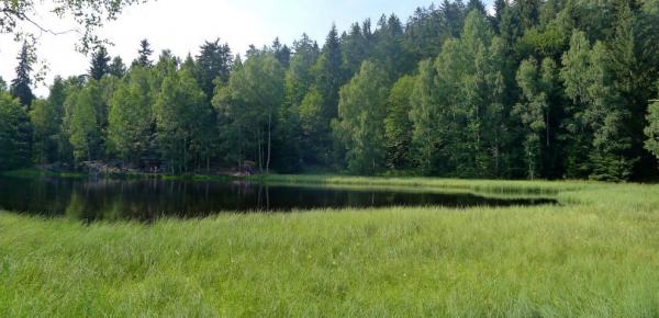 Břehy jezírka