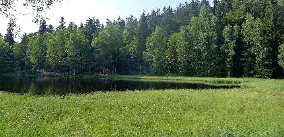 Břehy jezírka