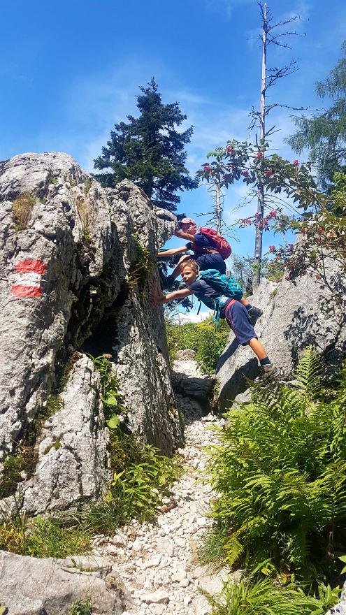 Cesta na Welserhütte