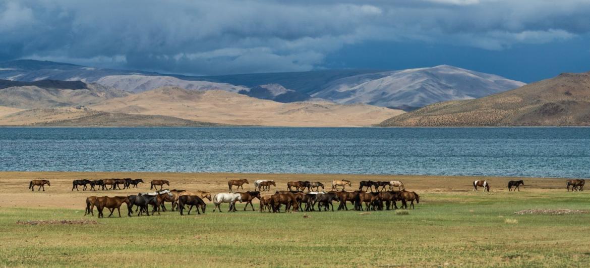 Jezero Telmen Nuur