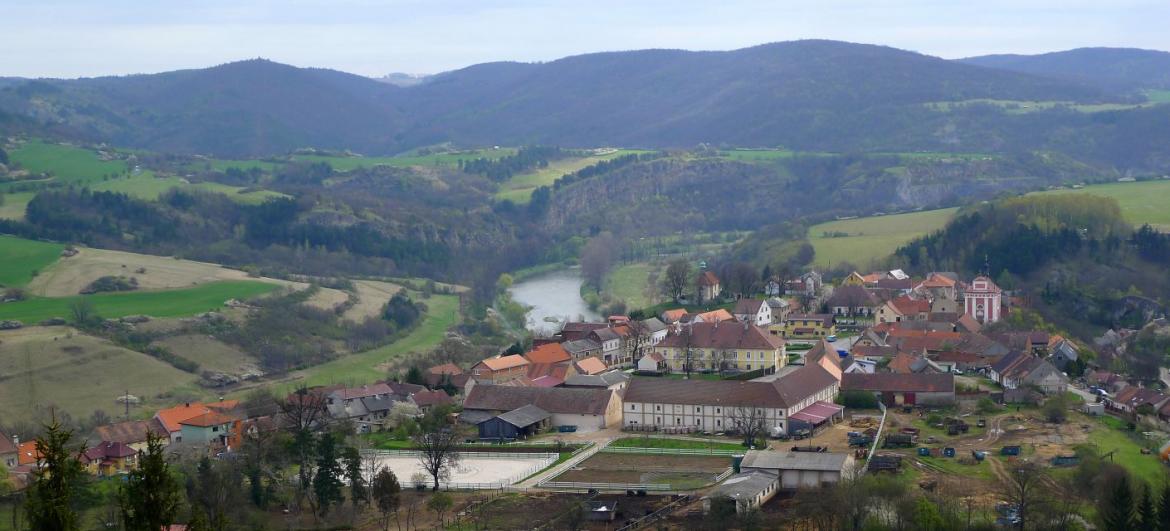 Damil