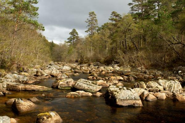 Cesta k Dog Falls