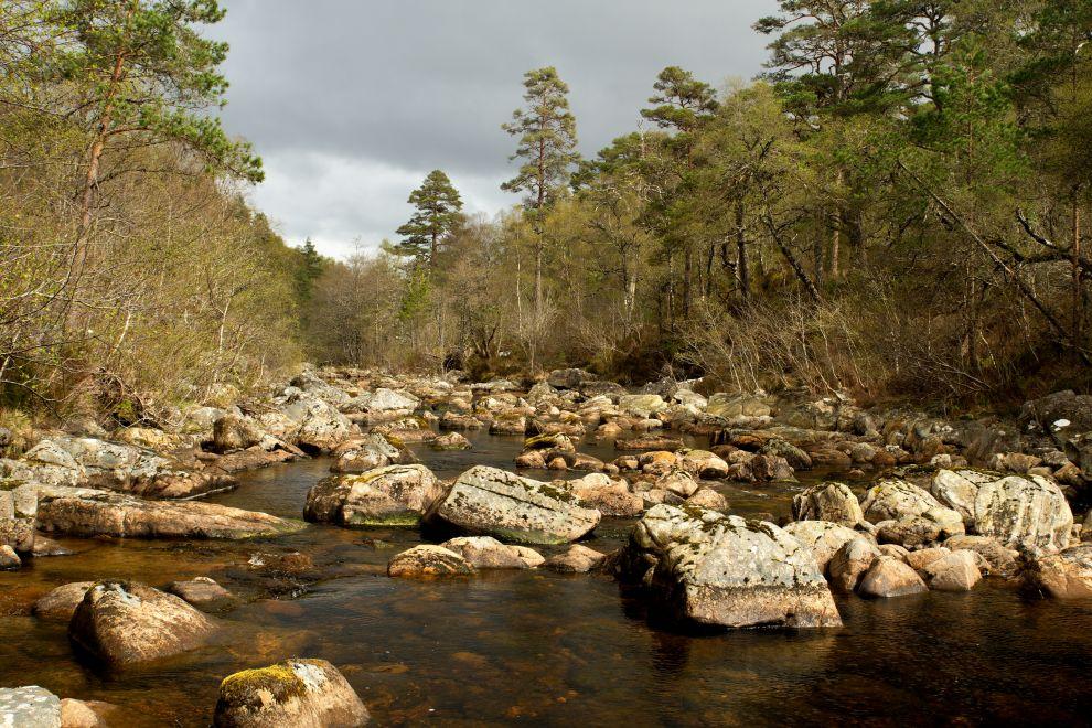 Cesta k Dog Falls