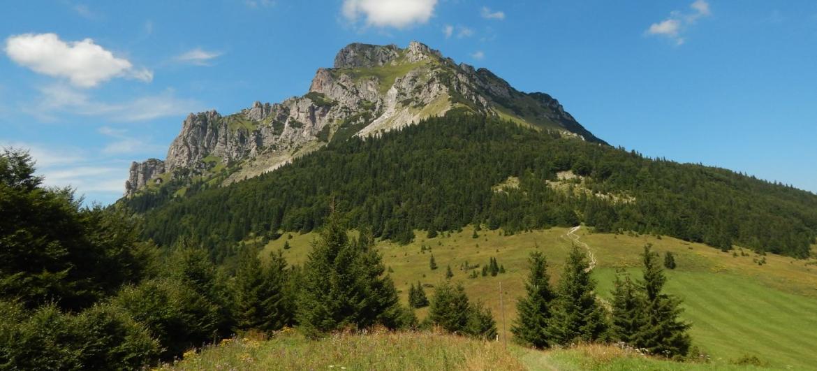 Letní výstup na Veľký Rozsutec