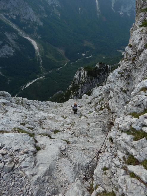 Tominškova cesta