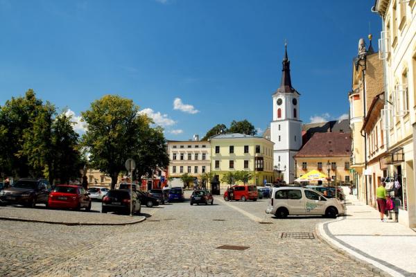 Králíky