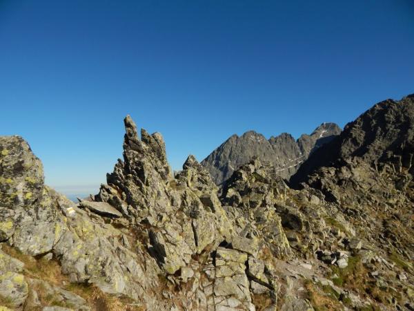 hřeben