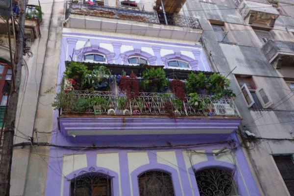Havana - veselá holka se smutnýma očima