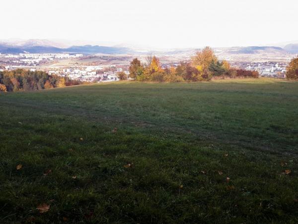 Lúka