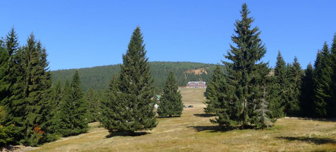 Túra Horní Rokytnice - Dvoračky