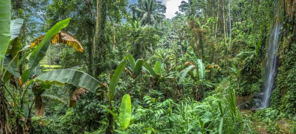 Bali – historie, kultura, příroda