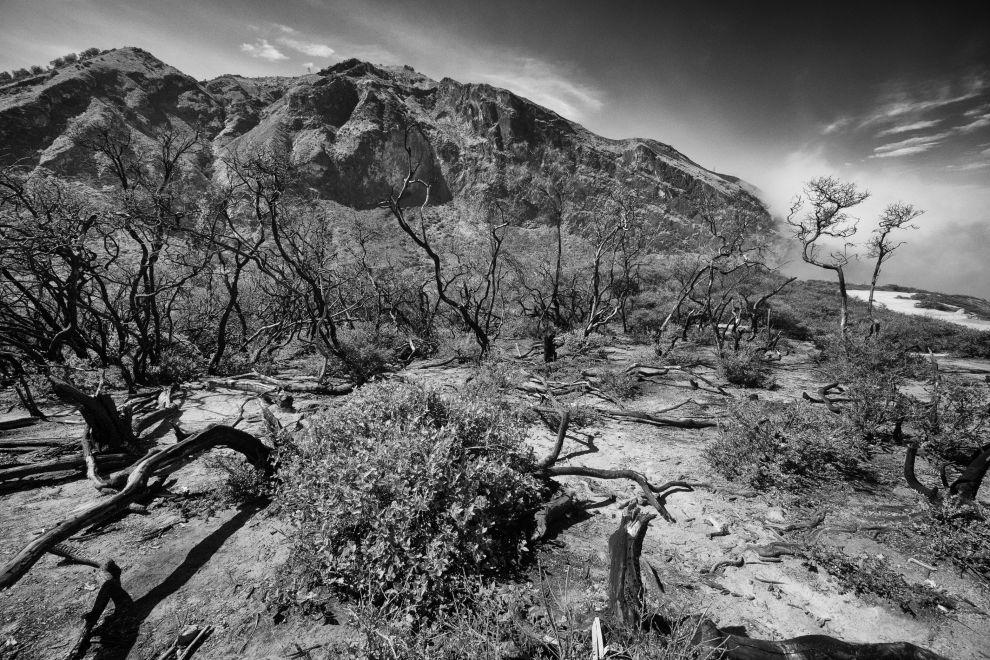Gunung Ijen