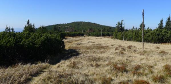 Kotelské sedlo