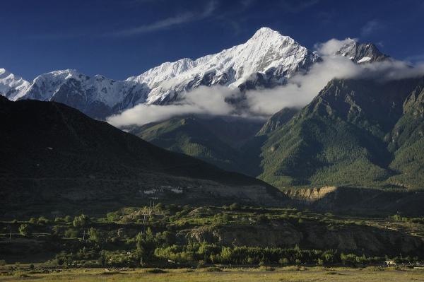 Nilgiri