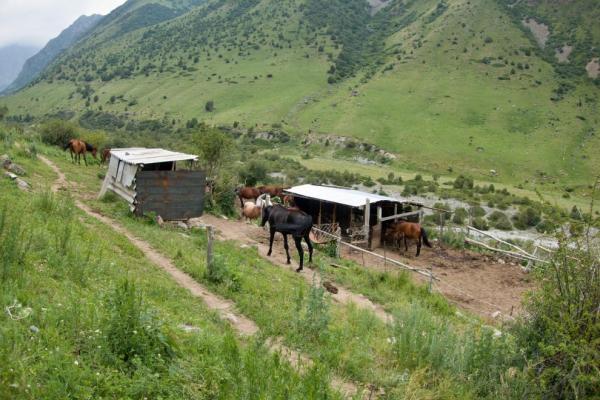 Issyk Ata