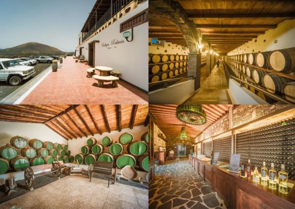 Bodegas Rubicón