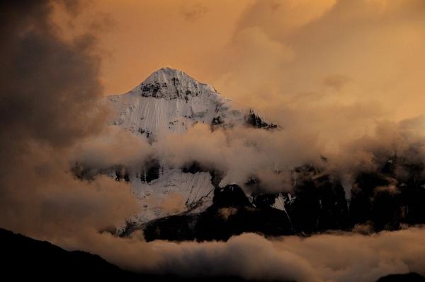 Nilgiri