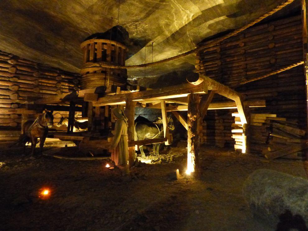 Ukázka těžby