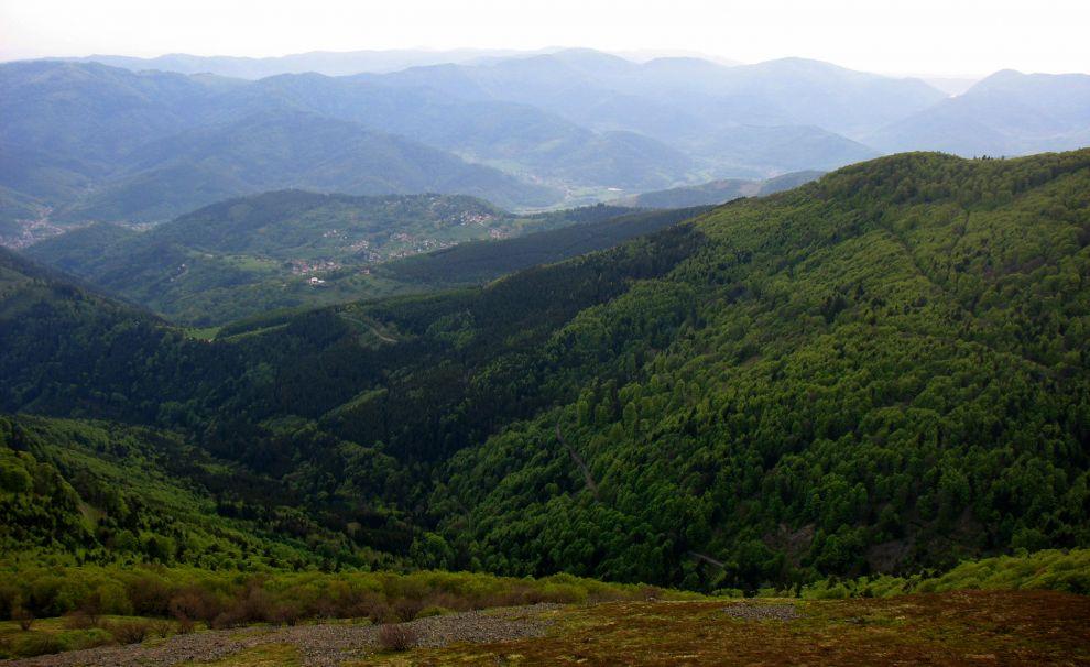GR 5 - Vosges