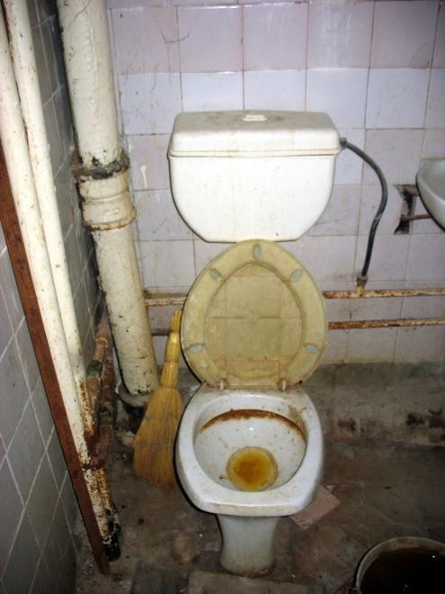 European Toilet in Asia