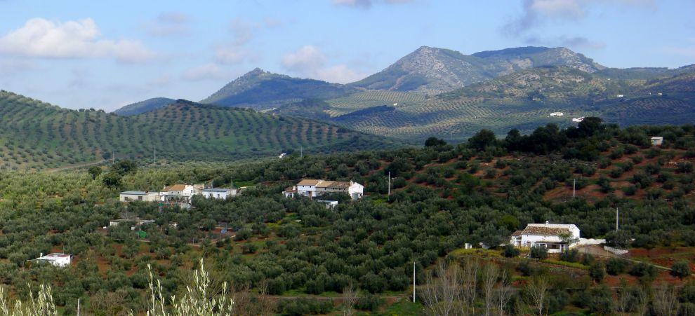 Krajina v okolí Alcalá la Real