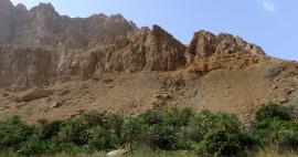 Zastávka ve Wadi Tiwi