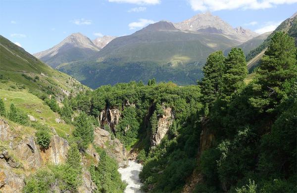 Canyon Rofenache
