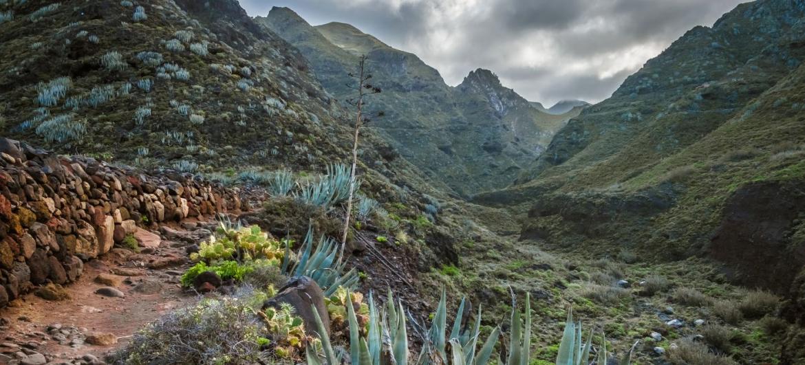 Túra soutěskou Barranco del Río
