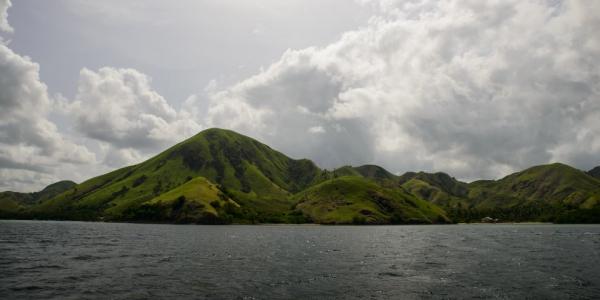Rinca