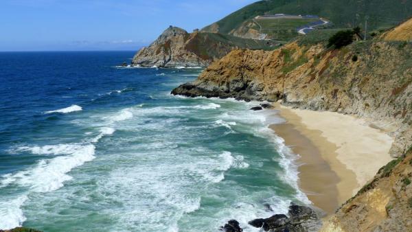 Grey Whale Cove