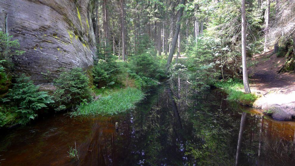 Metuje