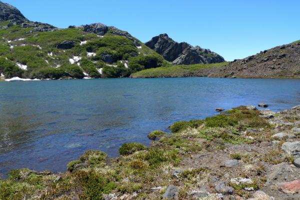 Laguna Verde
