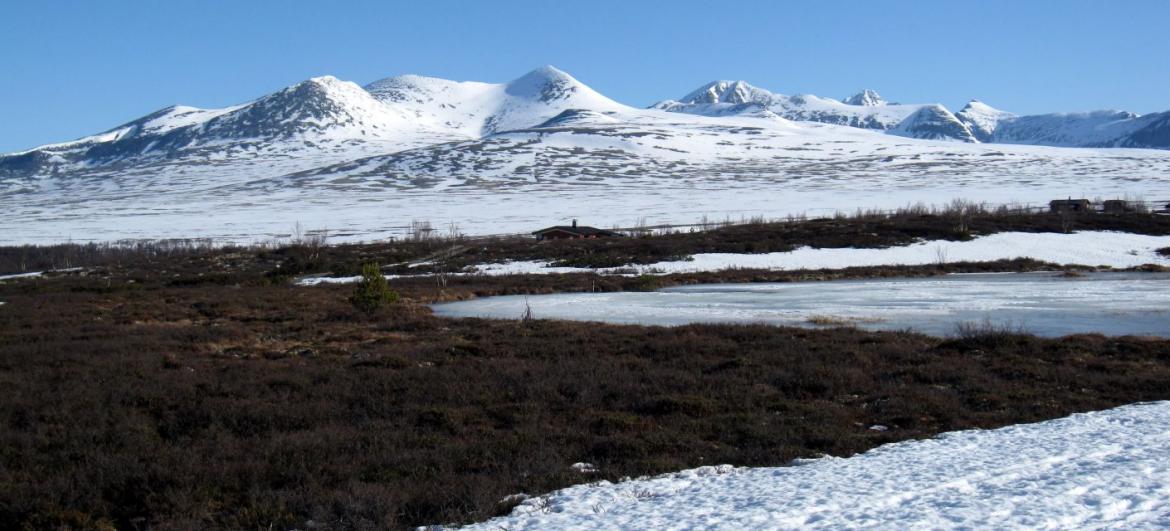 Z Otty na kraj Rondane
