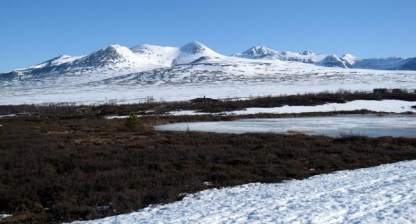 Výhled na vrcholky Rondane