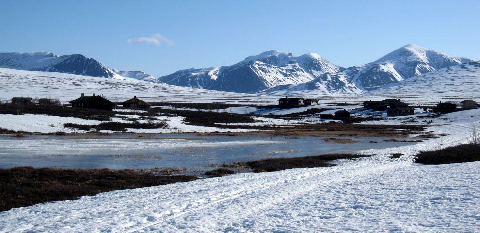 Rondane začátkem května