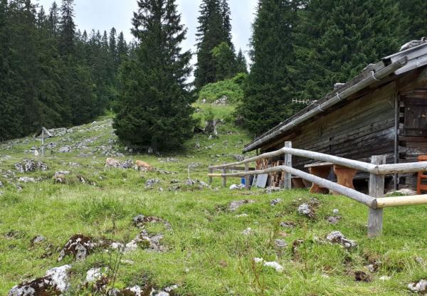 Almerlebnispfad: Moosenalm